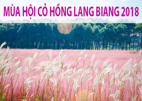 Kế hoạch tổ chức Mùa Hội Cỏ Hồng Lang Biang năm 2018